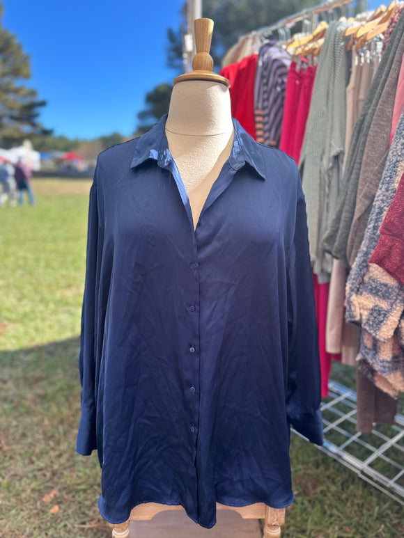 SECONDHAND: Size 5 - Torrid Blue Silk Top